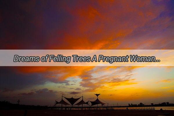 Dreams of Felling Trees A Pregnant Womans Intriguing Vision of Her Partners Deeds